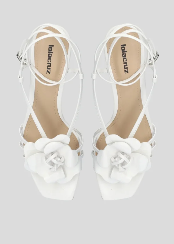 TULIPA PLATFORM 55